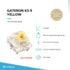 Gateron Ks-9 Mechanical Key Switches - Ranked